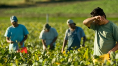 بعد إيطاليا وإسبانيا .. البرتغال تحتاج مغاربة للعمل في البناء والفلاحة‎